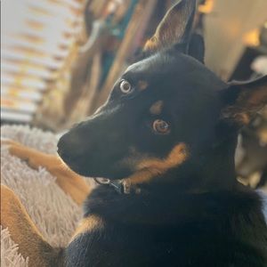 Meet your Posher, Alyssa